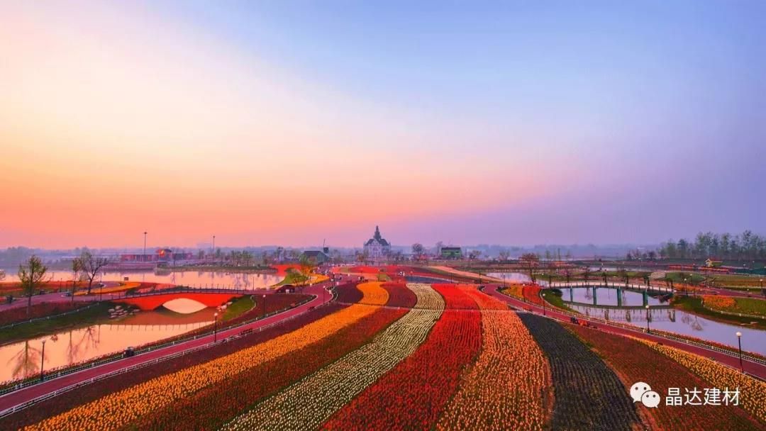 晴空瓦下，阵阵花香——新西湖沥青瓦与荷兰花海的“花”样年华